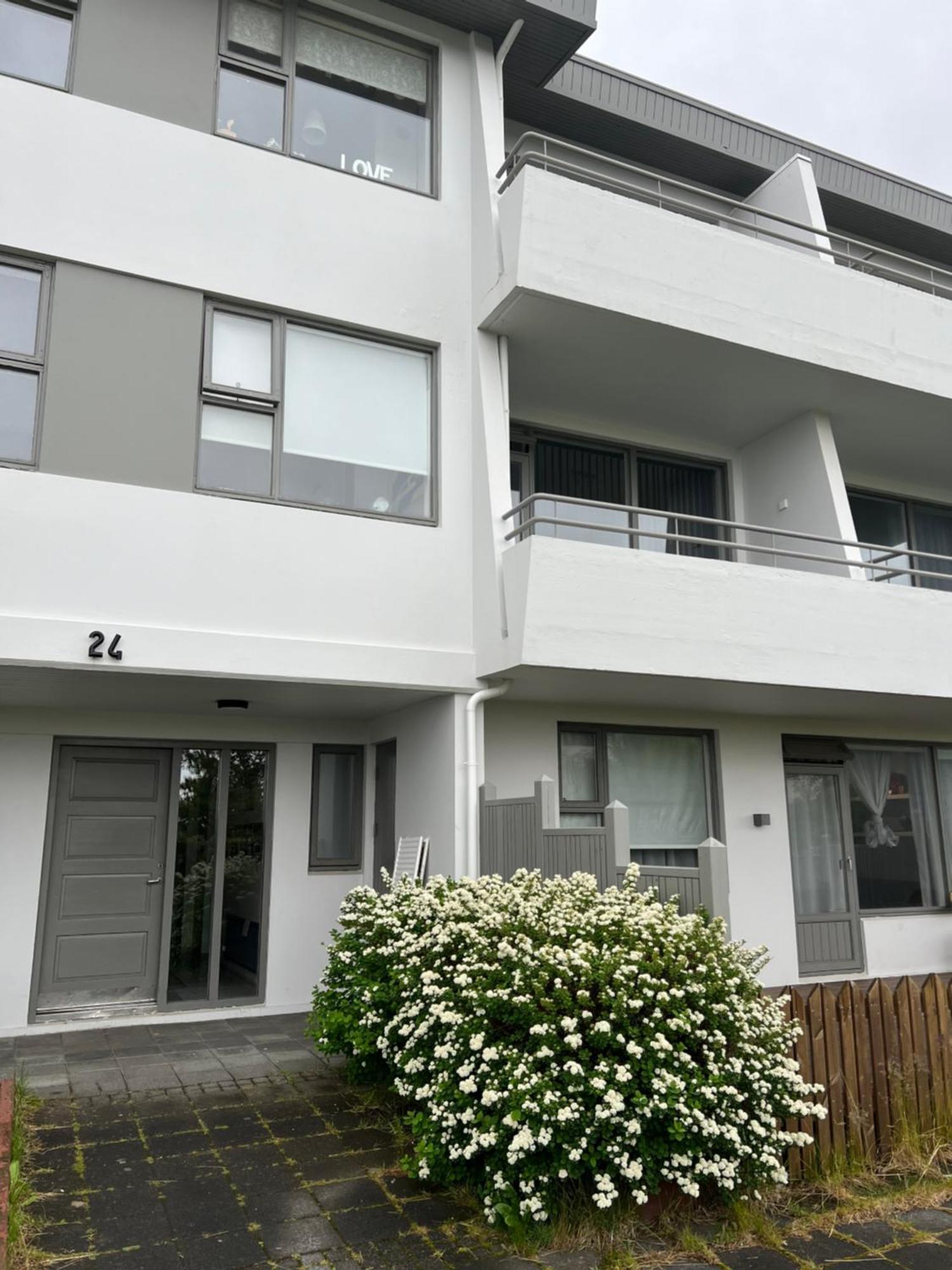 Viggsson Apartment Ρέυκιαβικ Εξωτερικό φωτογραφία